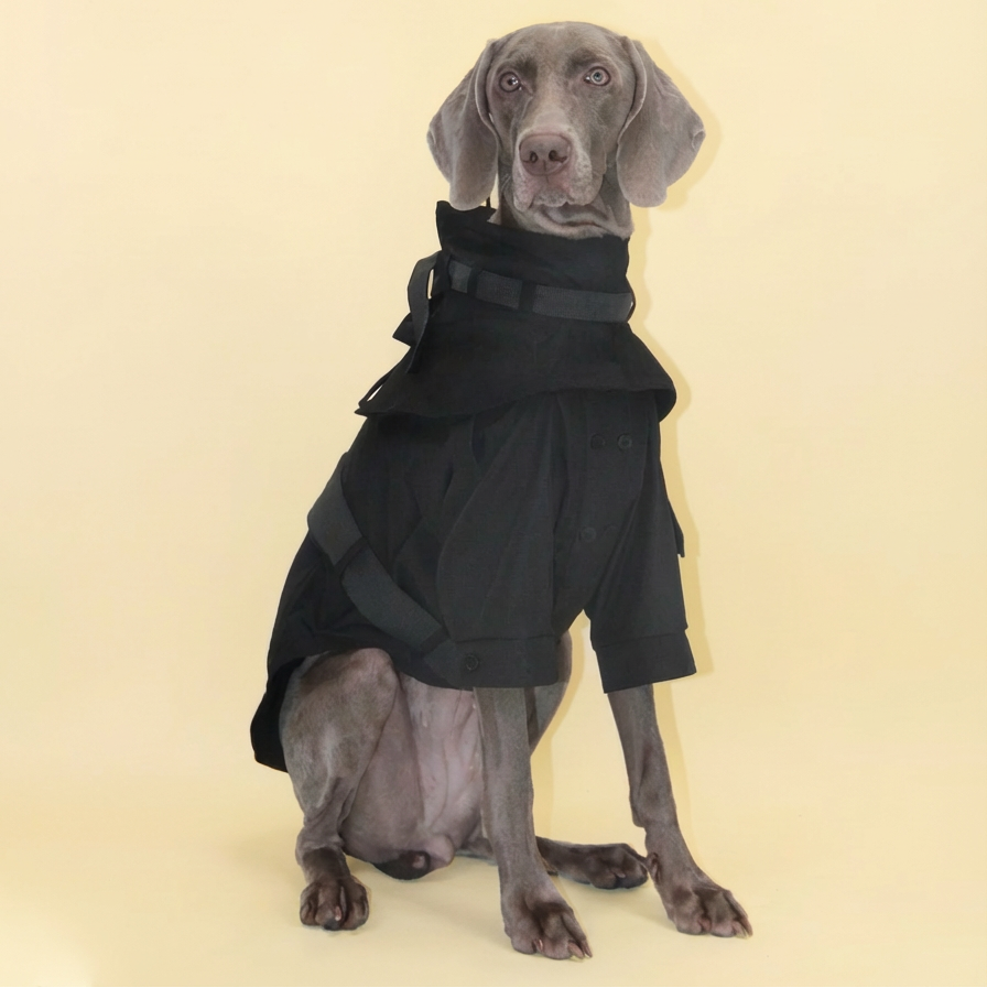 Classic British Style Dog Raincoat