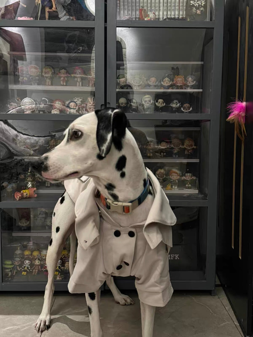 Classic British Style Dog Raincoat