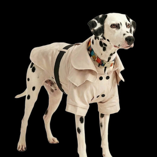Classic British Style Dog Raincoat