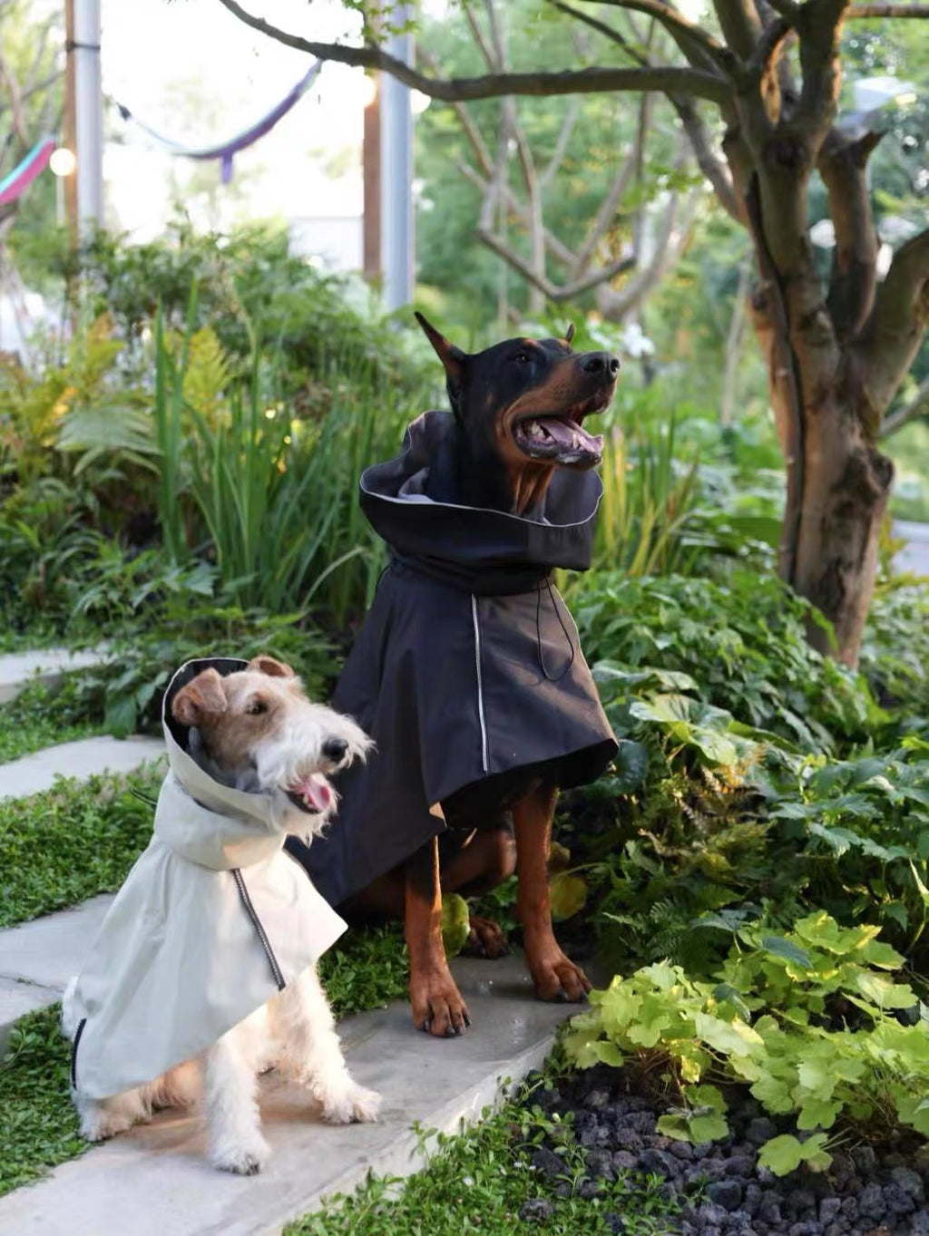 Dog Rain Poncho
