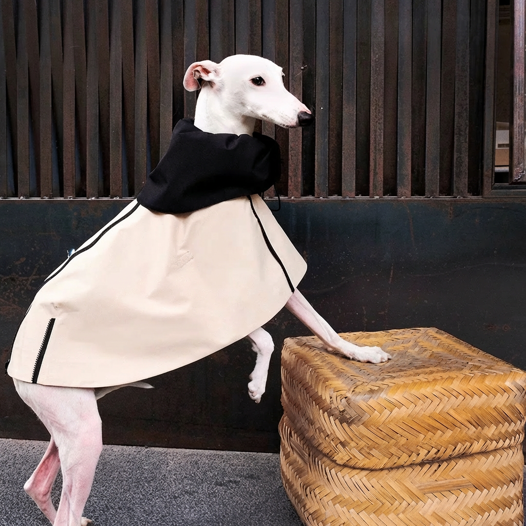 Dog Rain Poncho