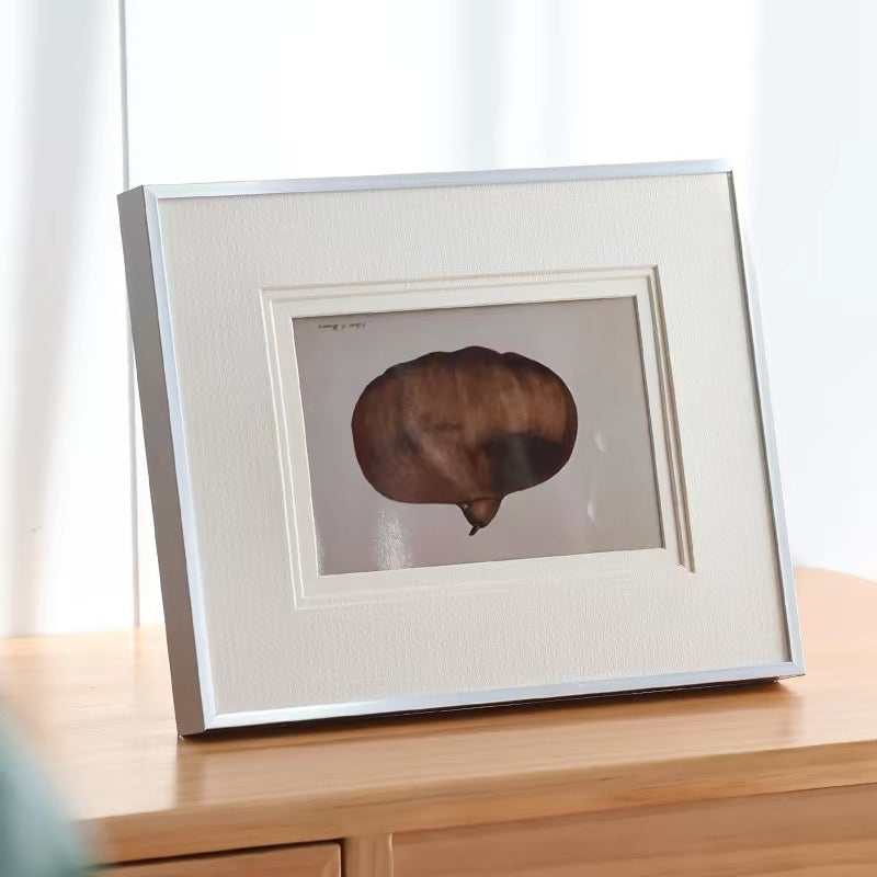 Silver Photo Frame A3