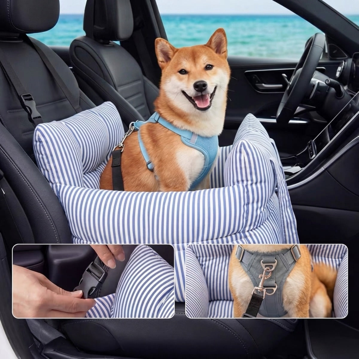 Stripe Dog Car Seat Blue